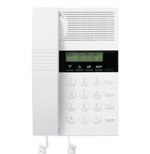 WhatsApp Image 2025-03-08 at 1.52.14 PM