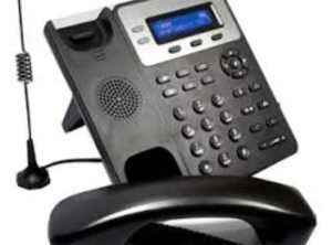 WhatsApp Image 2025-03-08 at 1.55.21 PM